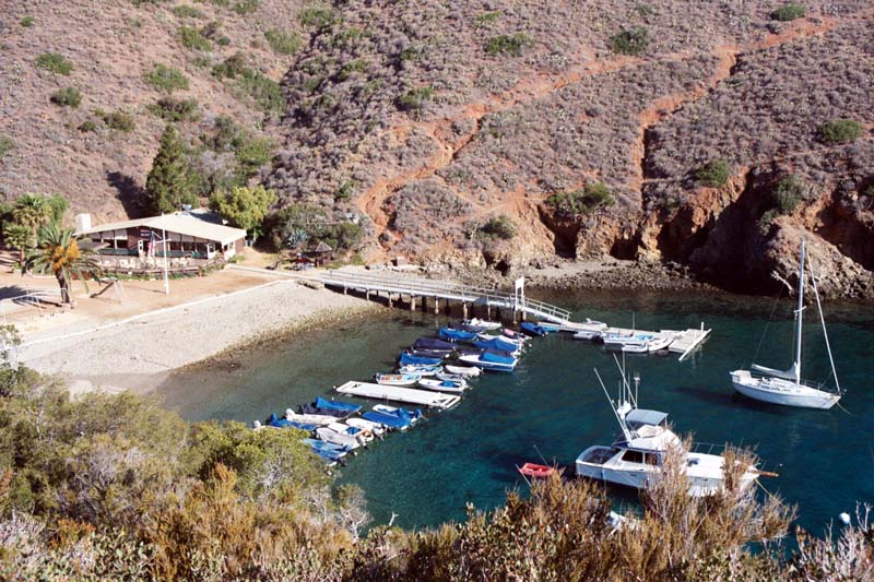 Cabin, String-tie and Rental Sign-ups on the Website!